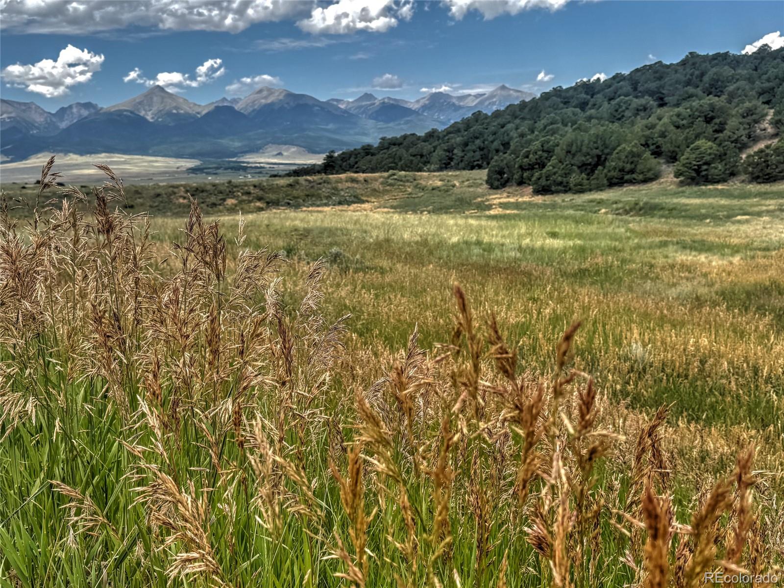 Tbd Lot 21 Tbd Road Westcliffe, CO 81252 - Photo 12 of 26