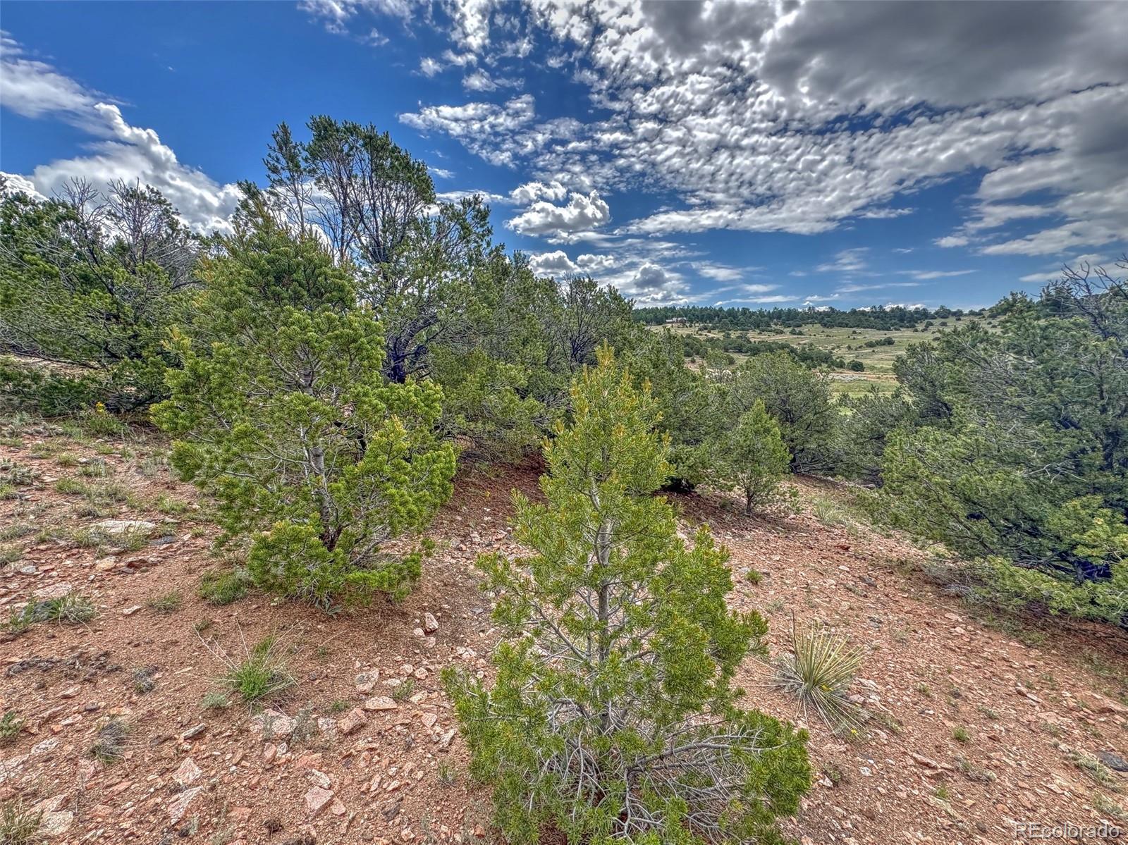 Tbd Lot 21 Tbd Road Westcliffe, CO 81252 - Photo 20 of 26