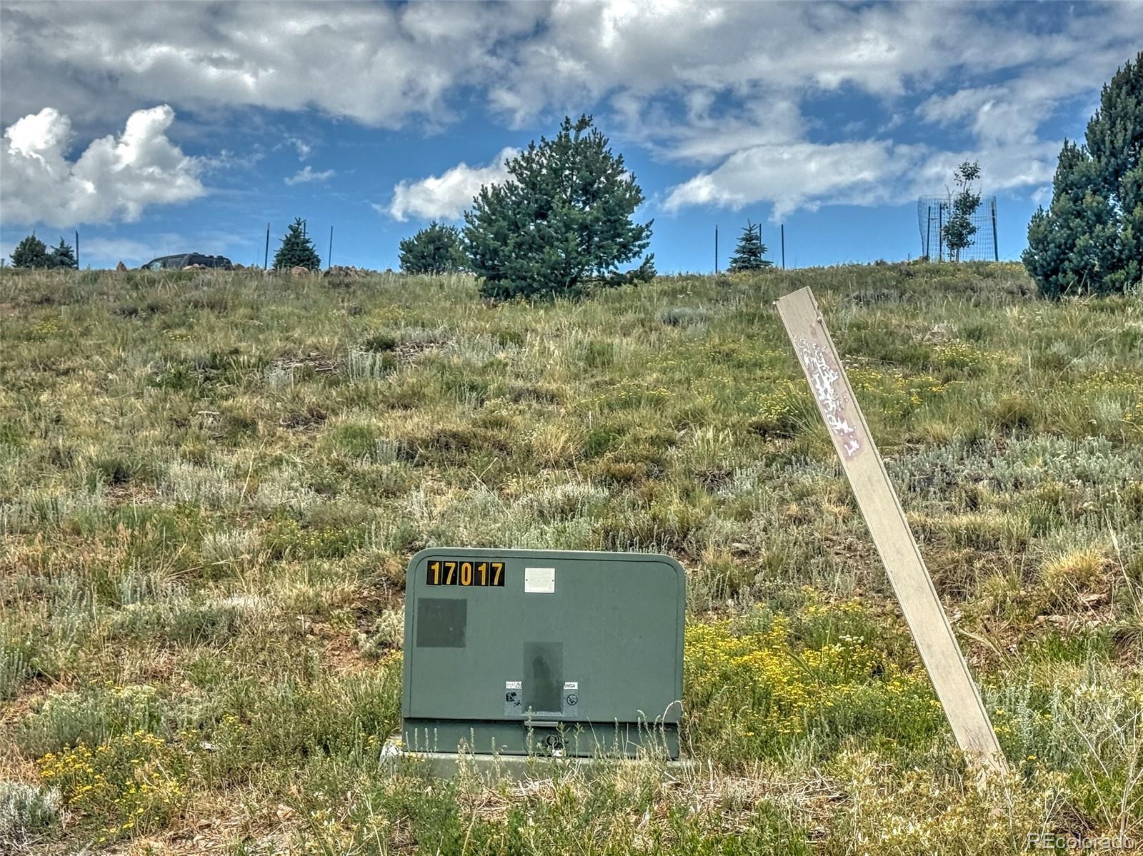 Tbd Lot 21 Tbd Road Westcliffe, CO 81252 - Photo 9 of 26