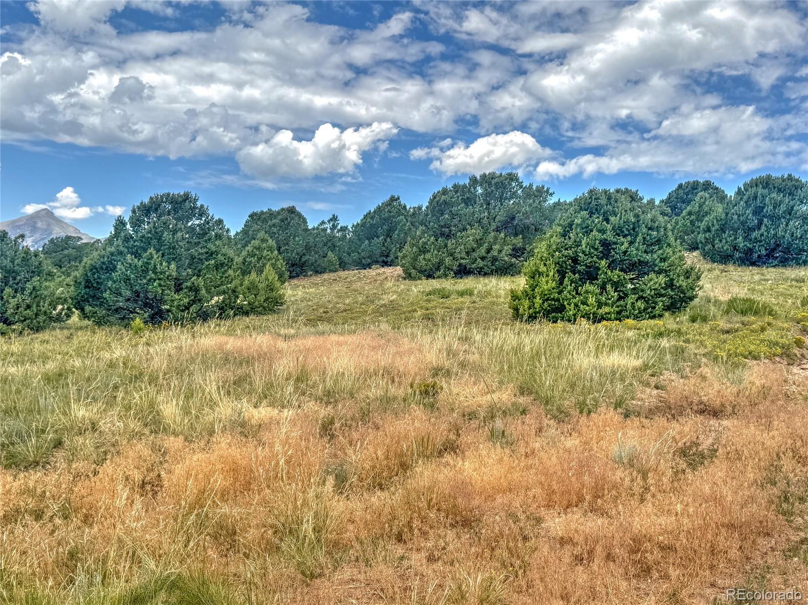 Tbd Lot 21 Tbd Road Westcliffe, CO 81252 - Photo 10 of 26