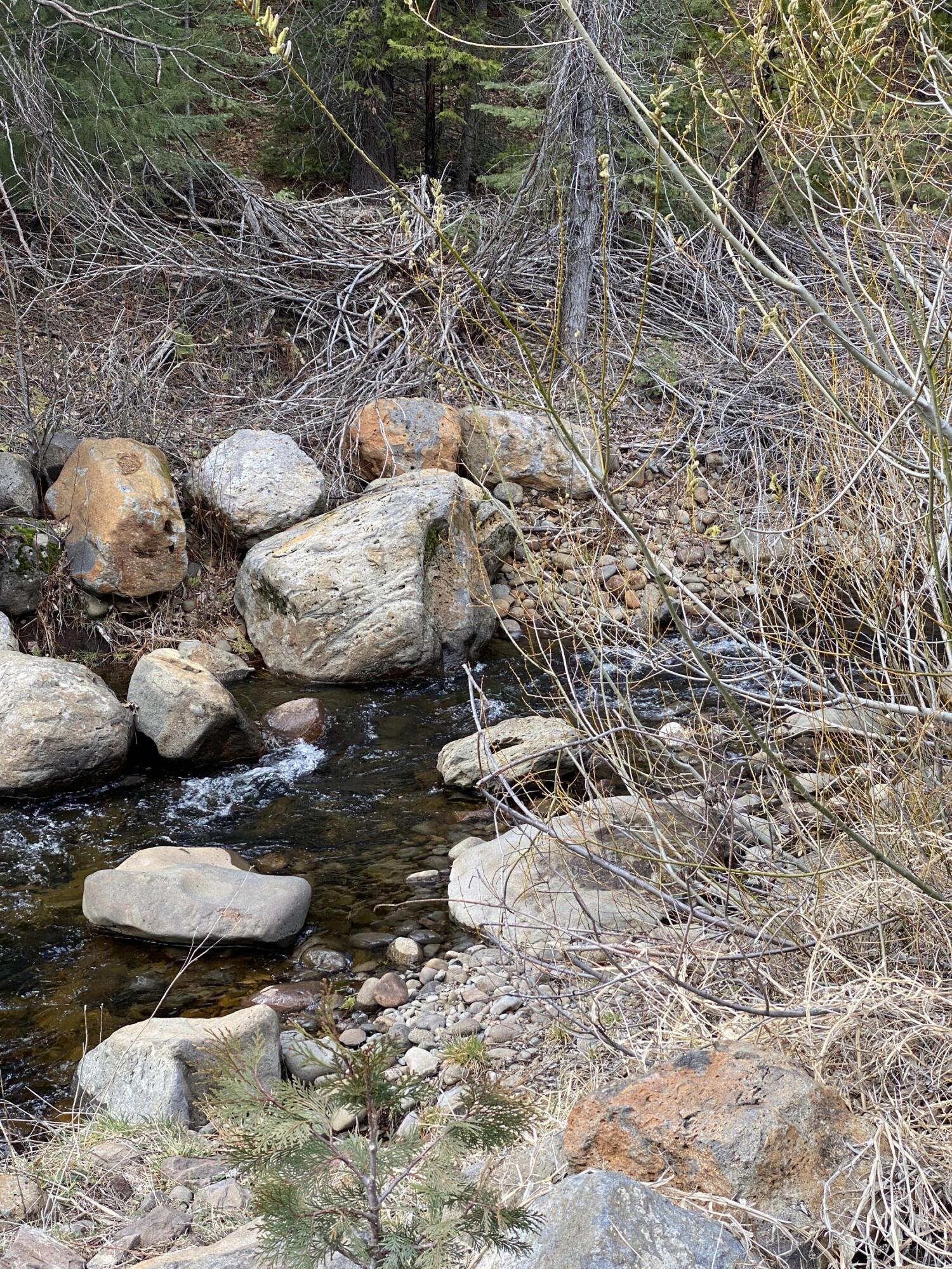 7517 Red Eagle Road Shingletown, CA 96088 - Photo 39 of 43 Creek down the road