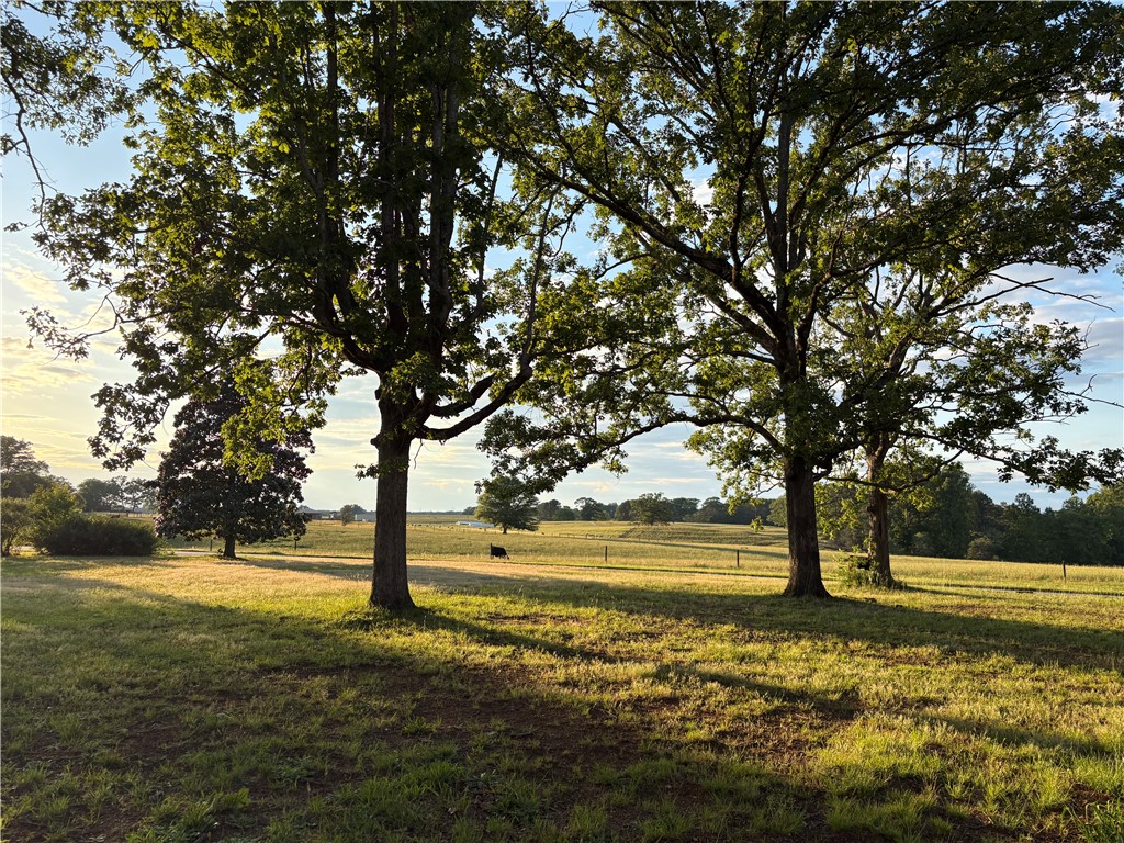 1014 Levis Smith Road Pendleton, SC 29670 - Photo 14 of 21 This expansive, verdant pasture offers serene views and mature trees for ample shade.
