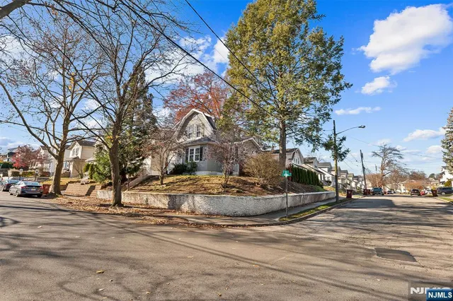 a park view with large trees