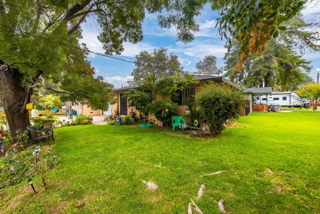 a view of a tree in front of a house