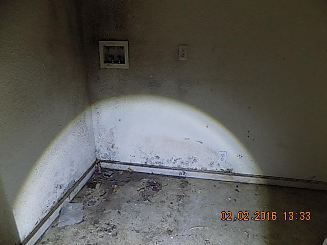 650 Chartin Way Blue Lake, CA 95525 - Photo 2 of 22