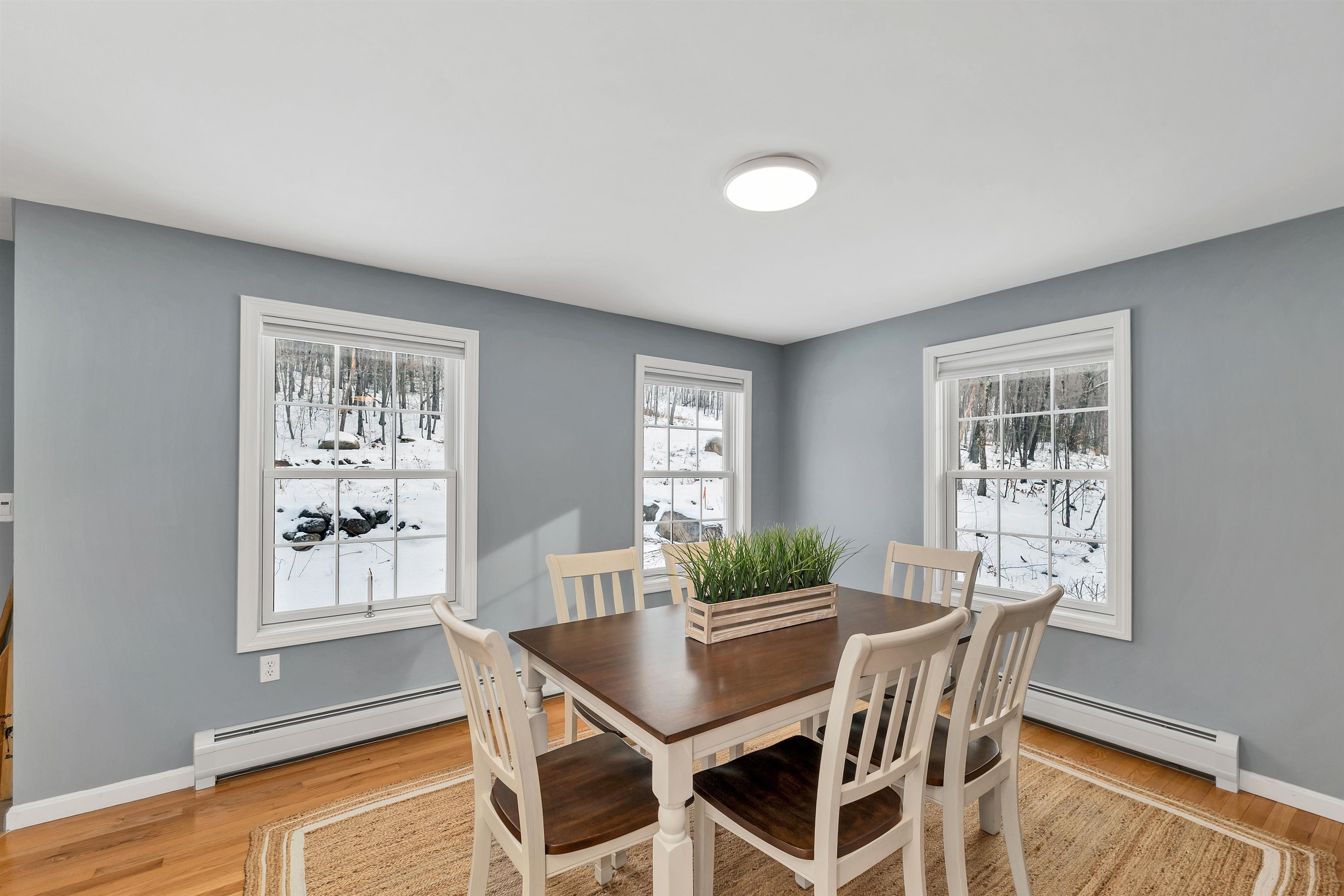 56 Frohock Brook Road Alton, NH 03810 - Photo 15 of 46