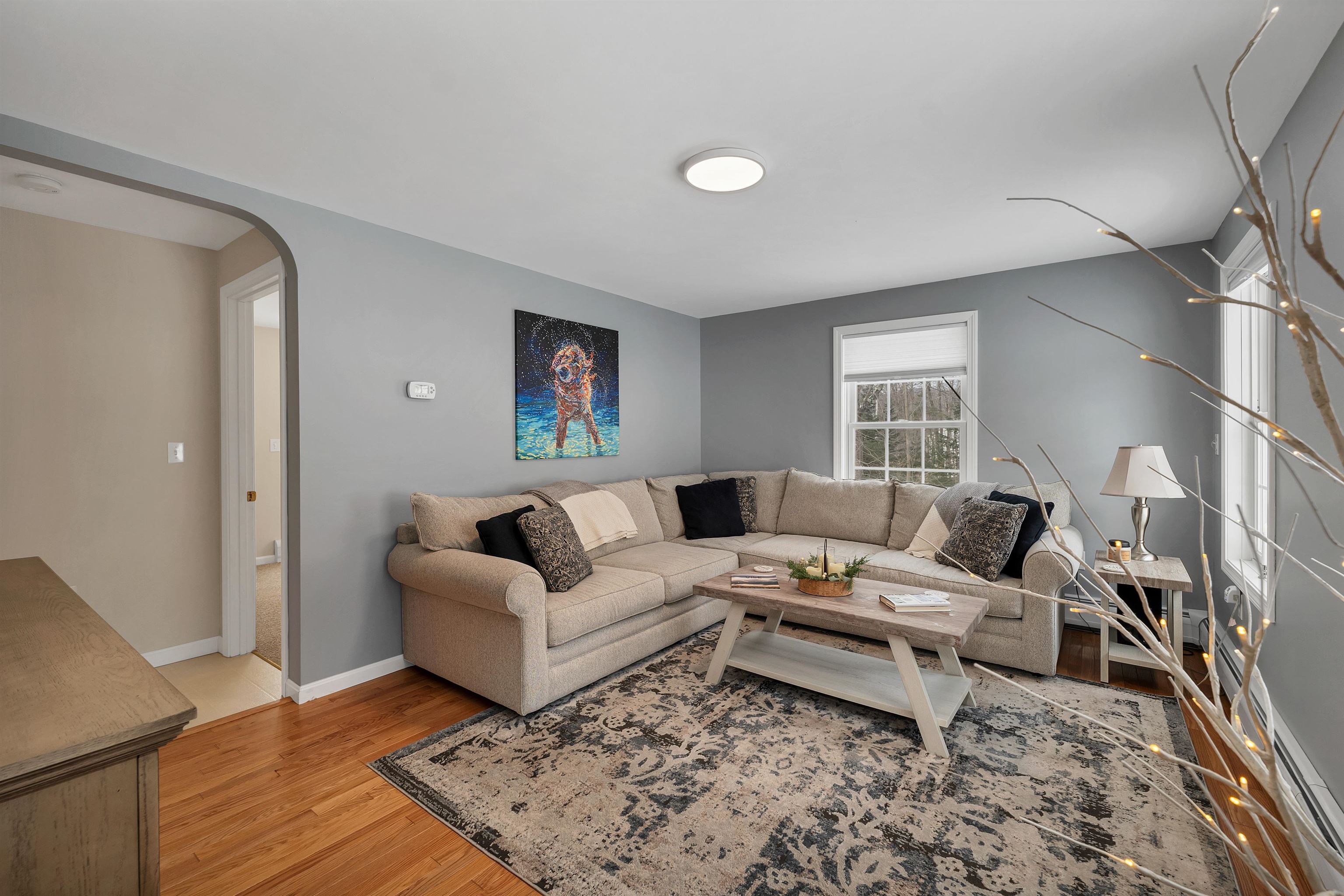 56 Frohock Brook Road Alton, NH 03810 - Photo 4 of 46