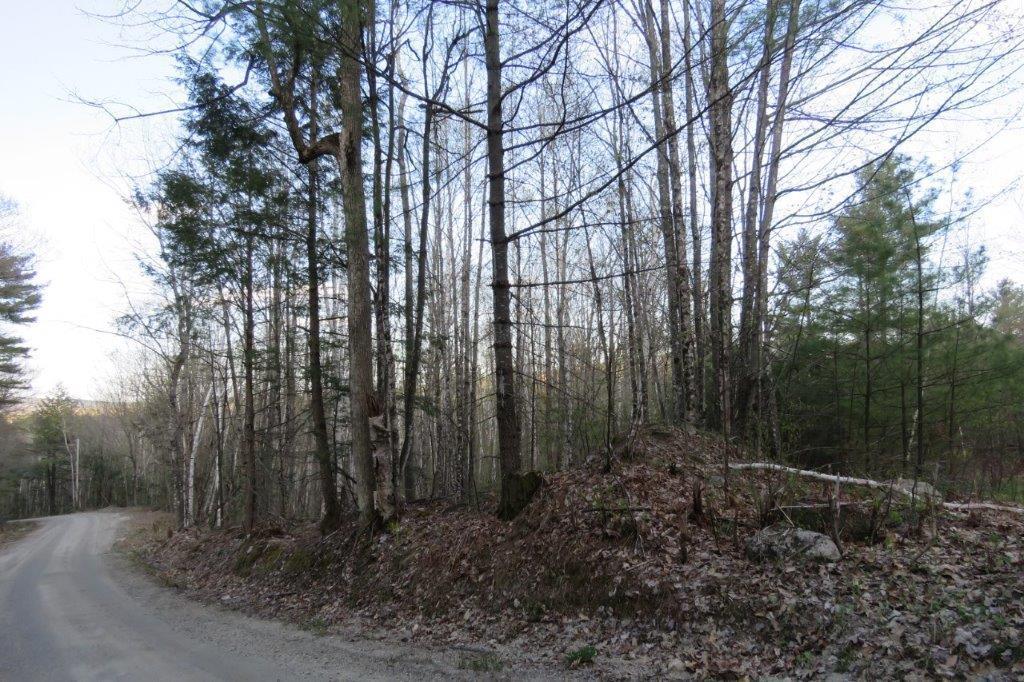 Lot 7 Black Mountain Road Harrison, ME 04040 - Photo 1 of 4 IMG_5074