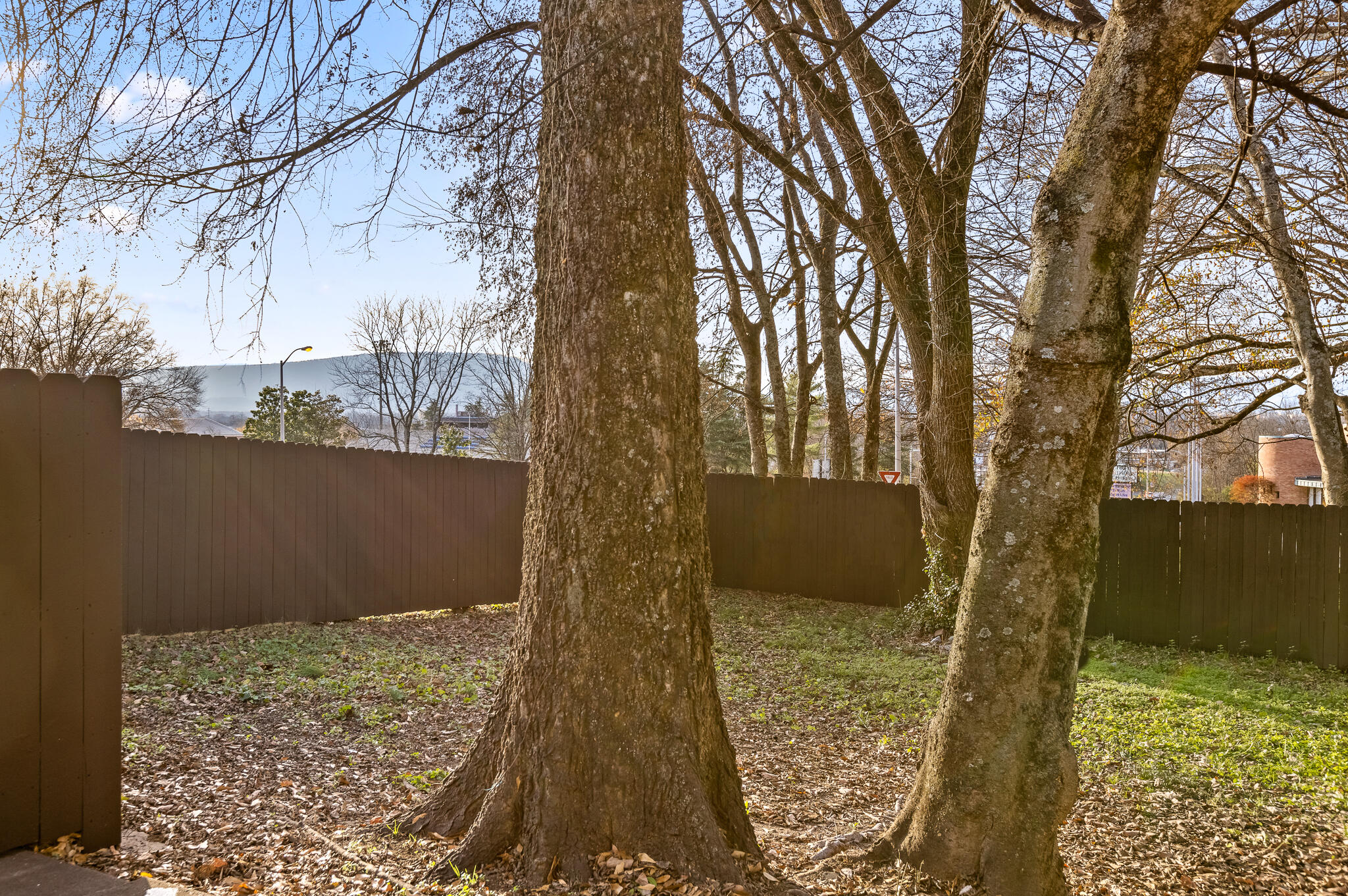 3 Shallowford Road Chattanooga, TN 37404 - Photo 39 of 47 Shallowford-44