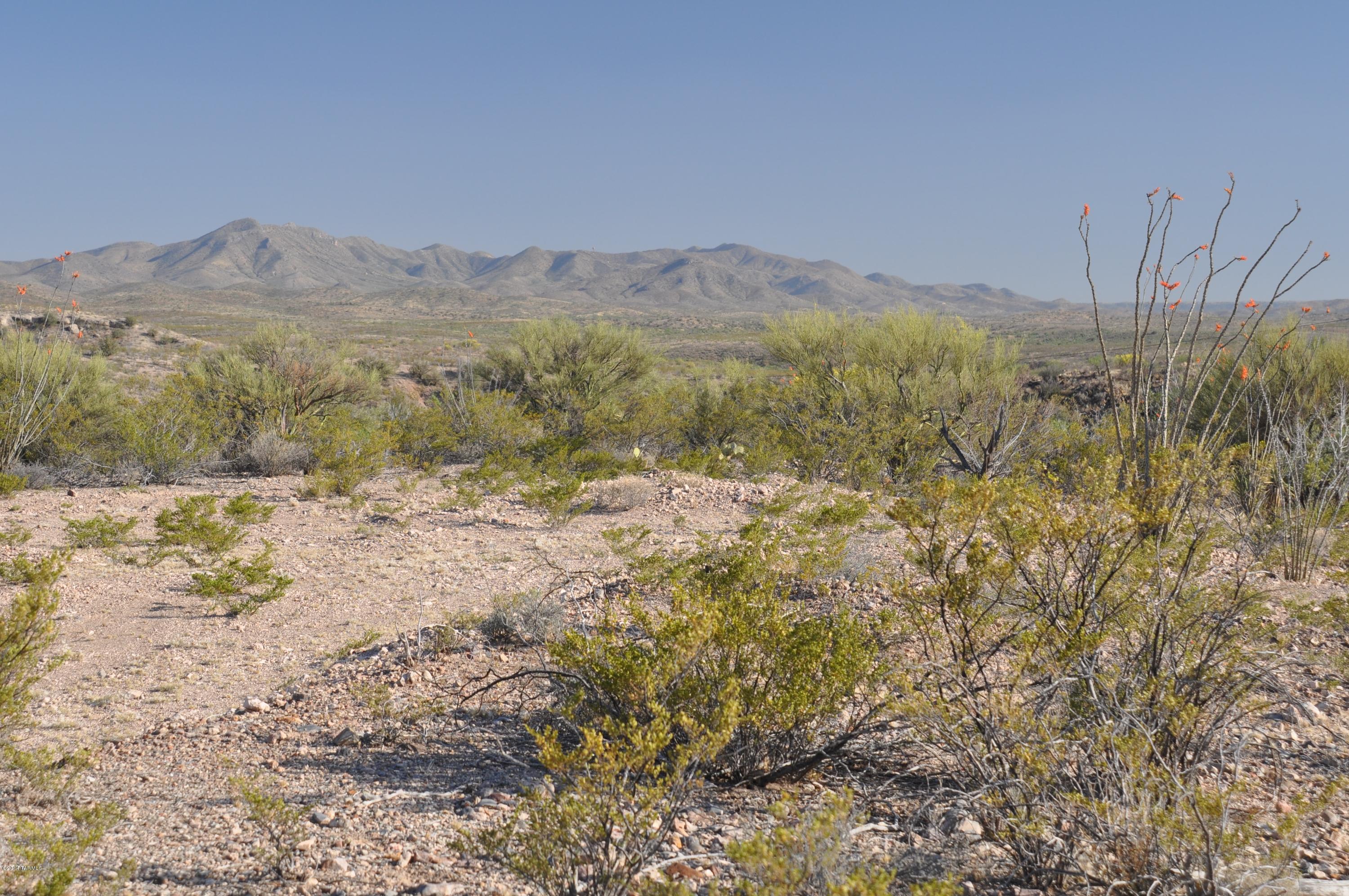 17178 East Zoo Stage Road Vail, AZ 85641 - Photo 3 of 24 Gallery Image 3