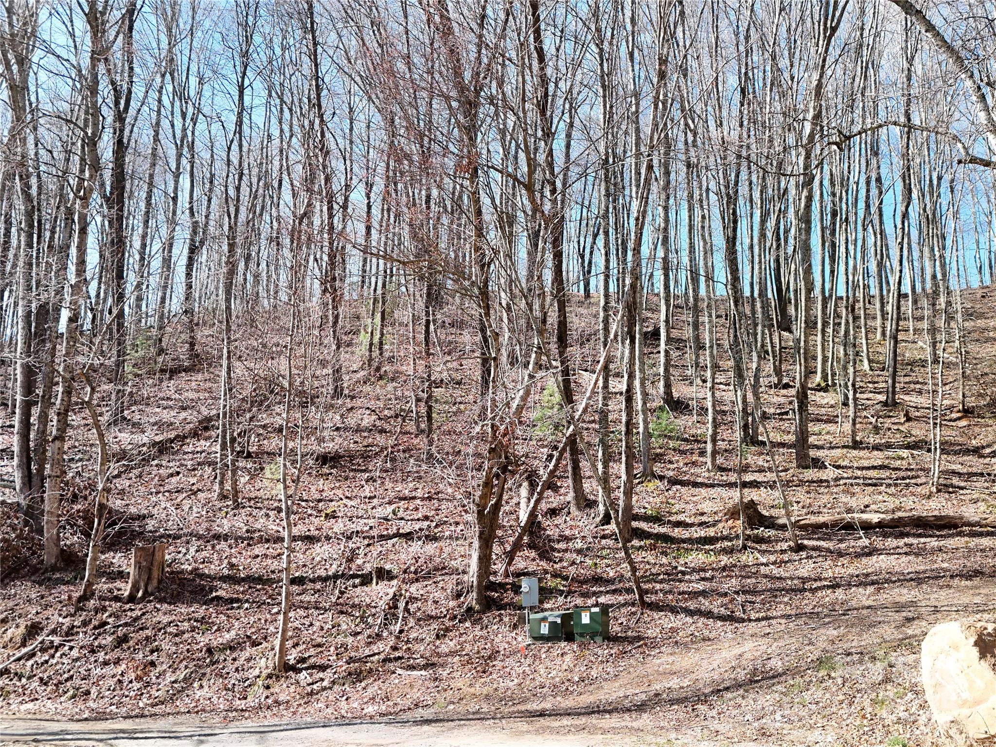2 Roberts Mountain Road, Unit 2 Clyde, NC 28721 - Photo 11 of 28 a view of a garden