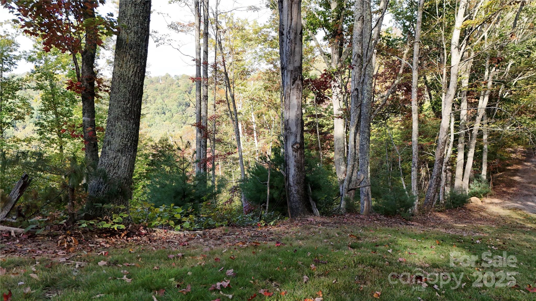 2 Roberts Mountain Road, Unit 2 Clyde, NC 28721 - Photo 12 of 28 a view of outdoor space and yard