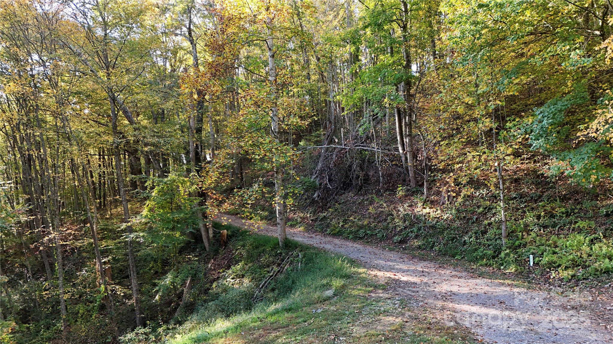 2 Roberts Mountain Road, Unit 2 Clyde, NC 28721 - Photo 13 of 28 a view of a forest with a trees