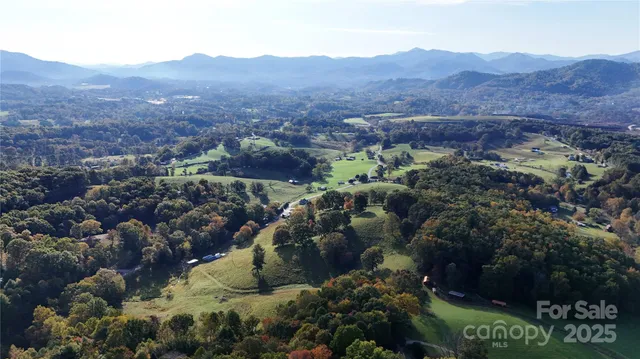 an aerial view of mountain and trees