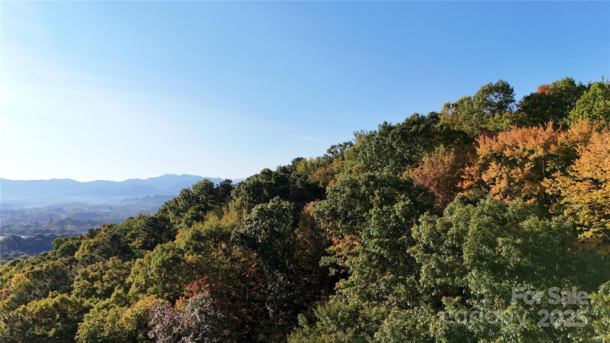 2 Roberts Mountain Road, Unit 2 Clyde, NC 28721 - Photo 19 of 28 a view of a lush green field