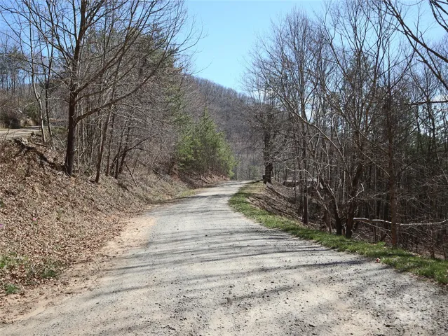 a view of backyard with green space