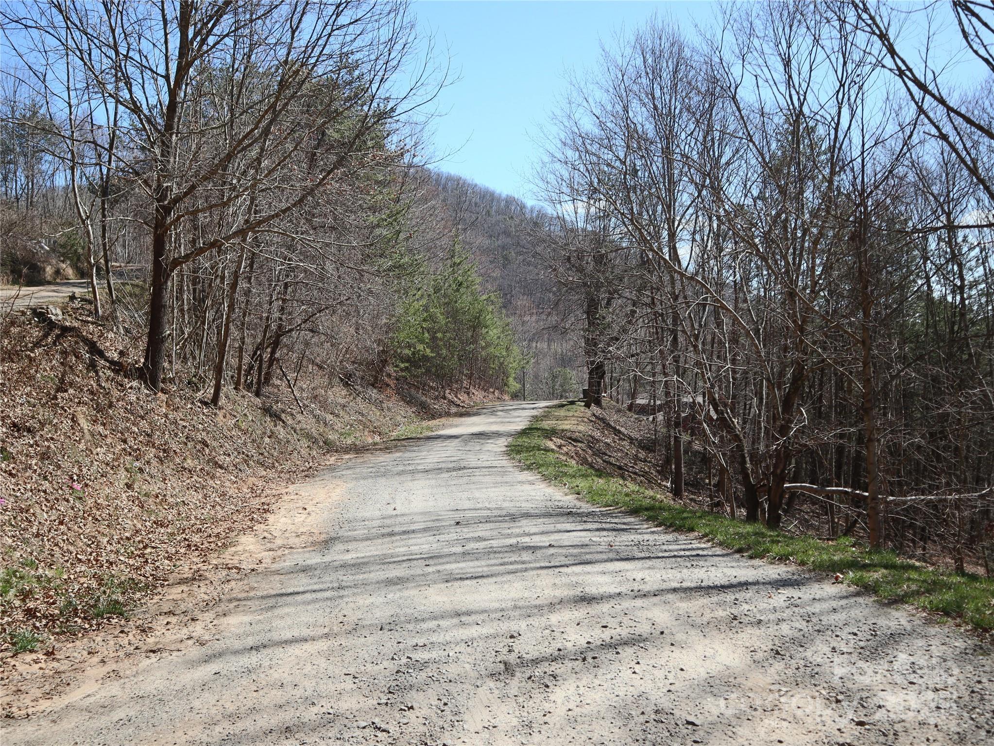 2 Roberts Mountain Road, Unit 2 Clyde, NC 28721 - Photo 25 of 28 a view of backyard with green space