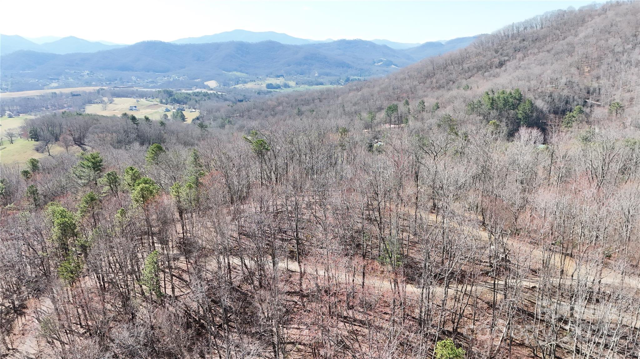 2 Roberts Mountain Road, Unit 2 Clyde, NC 28721 - Photo 26 of 28 a view of a dry yard with green space