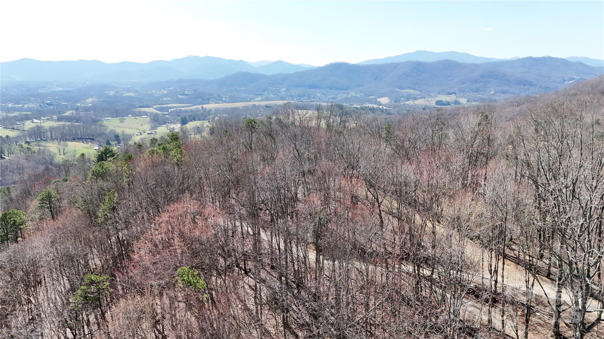 2 Roberts Mountain Road, Unit 2 Clyde, NC 28721 - Photo 27 of 28 a view of a lush green forest with mountains in the background