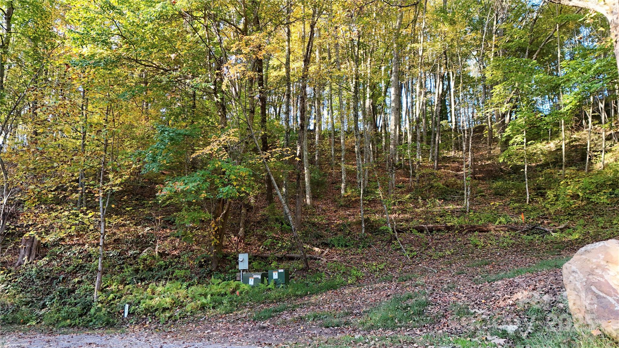 2 Roberts Mountain Road, Unit 2 Clyde, NC 28721 - Photo 4 of 28 a view of a yard with plants and large trees