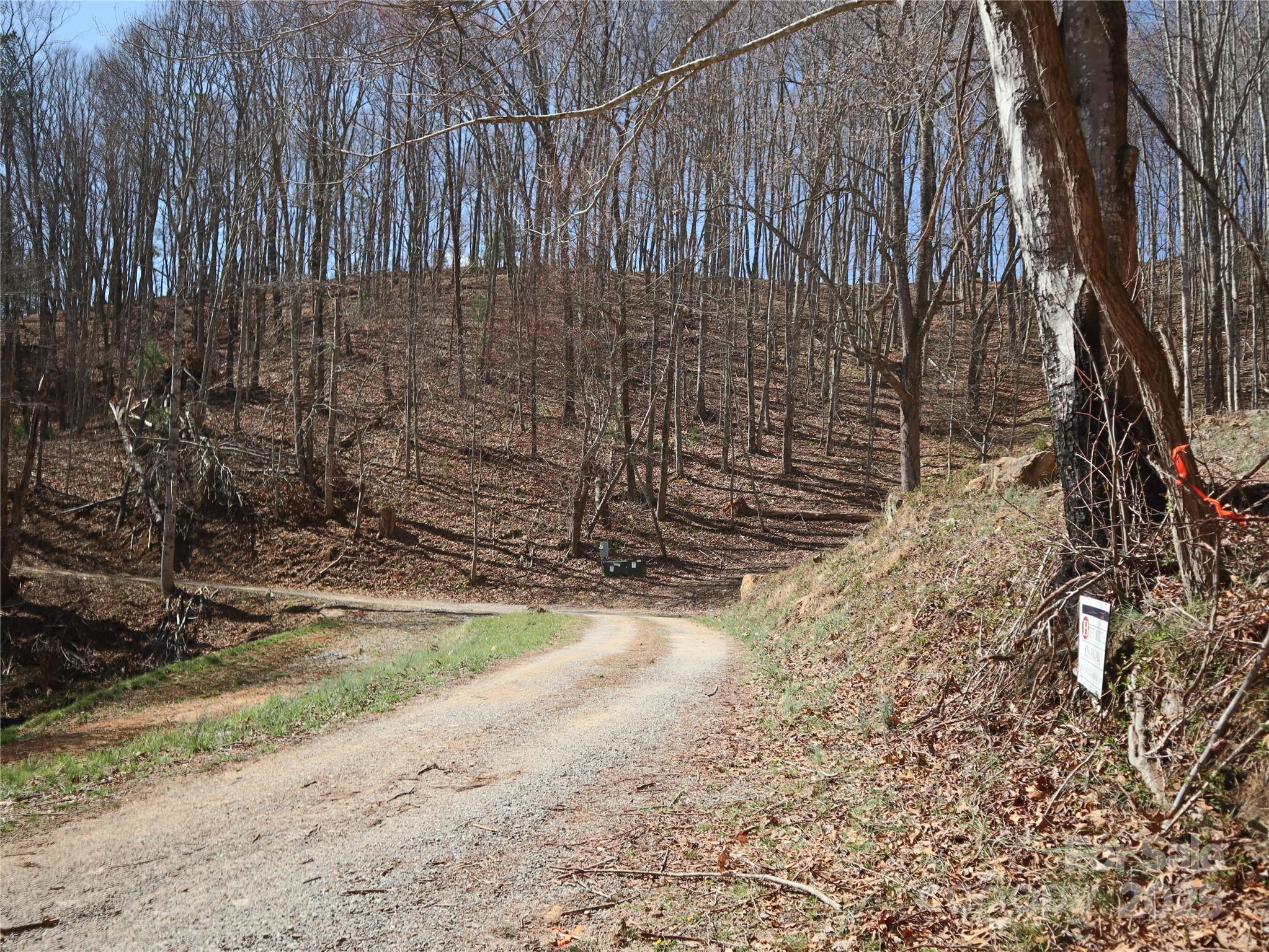 2 Roberts Mountain Road, Unit 2 Clyde, NC 28721 - Photo 6 of 28 a view of a backyard with pathway
