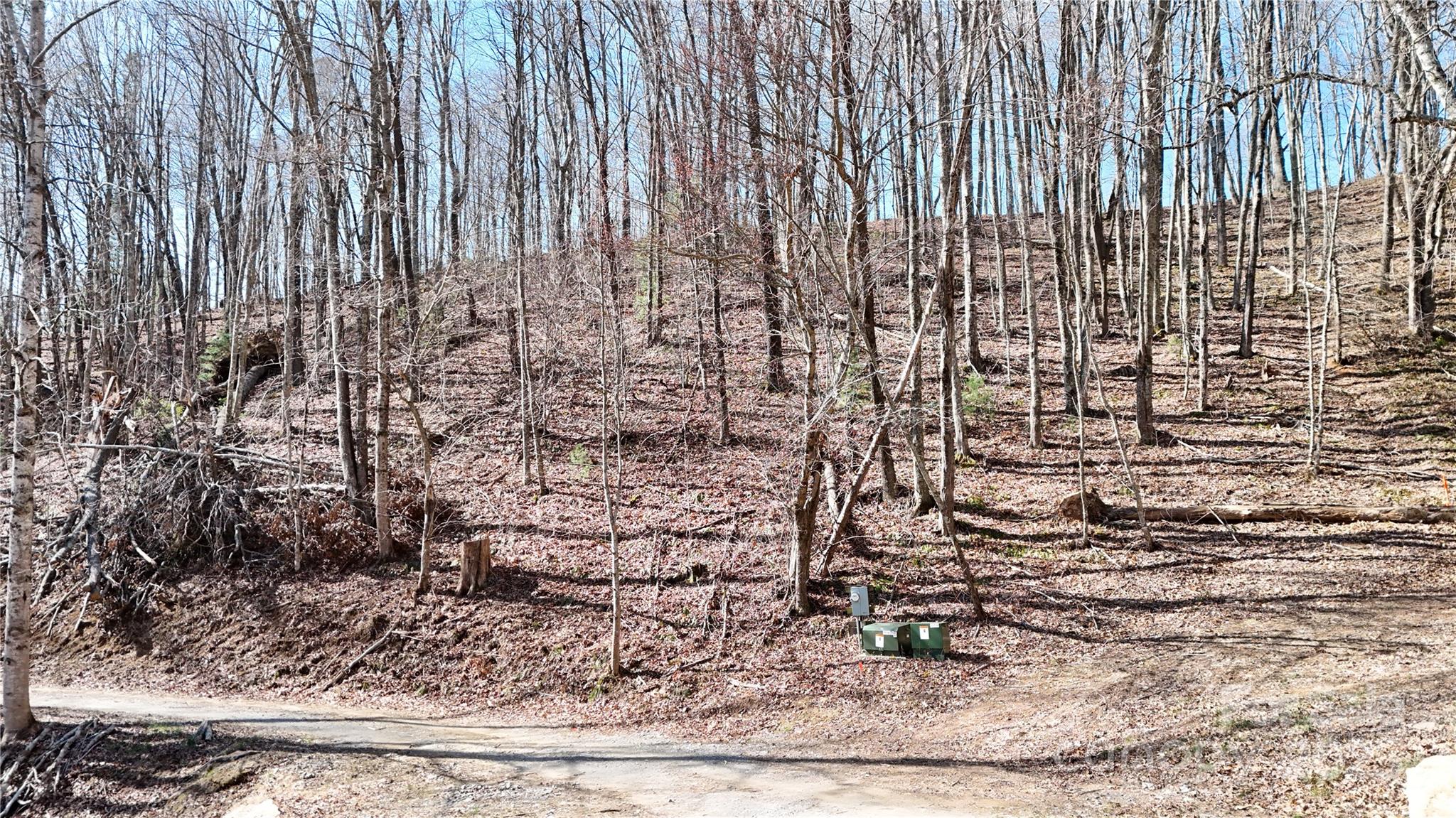 2 Roberts Mountain Road, Unit 2 Clyde, NC 28721 - Photo 9 of 28 a view of a pathway