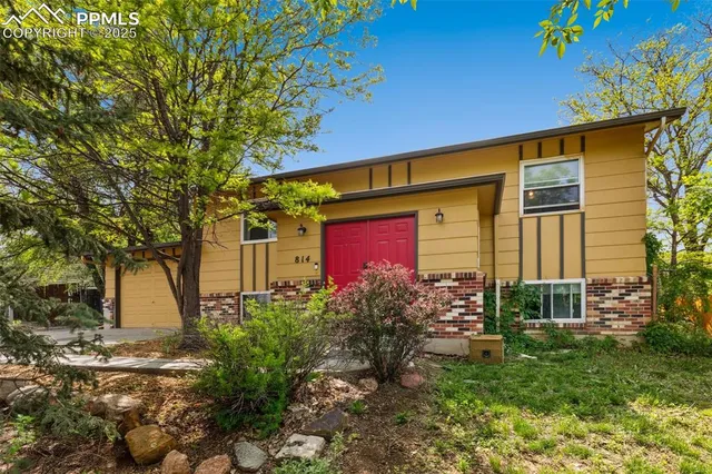 a view of a backyard with plants
