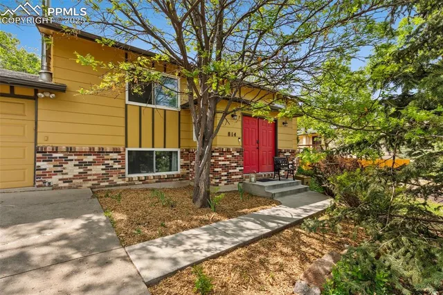 a view of a park that has a tree in it