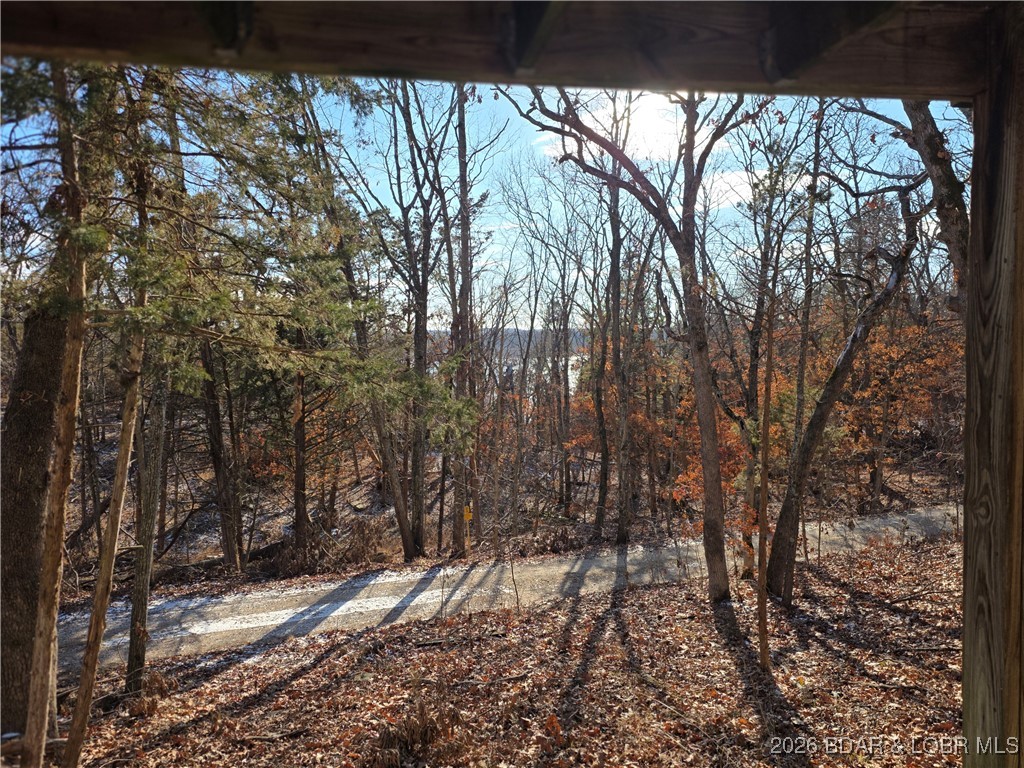 12405 Northeast 1240 Pvt Road Osceola, MO 64776 - Photo 31 of 36 Seasonal view of Truman Lake