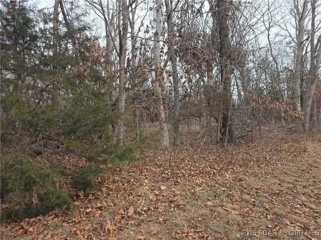 $138,500 | 12405 Northeast 1240 Pvt Road, Osceola, MO 64776