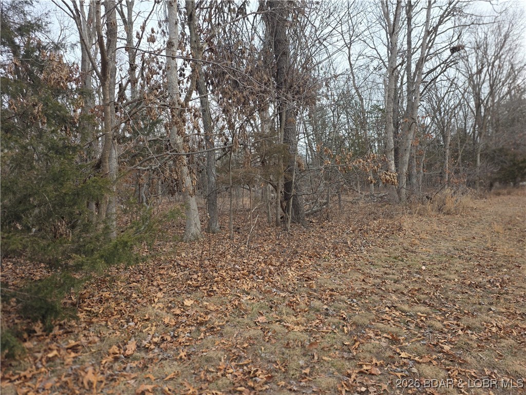 12405 Northeast 1240 Pvt Road Osceola, MO 64776 - Photo 34 of 36