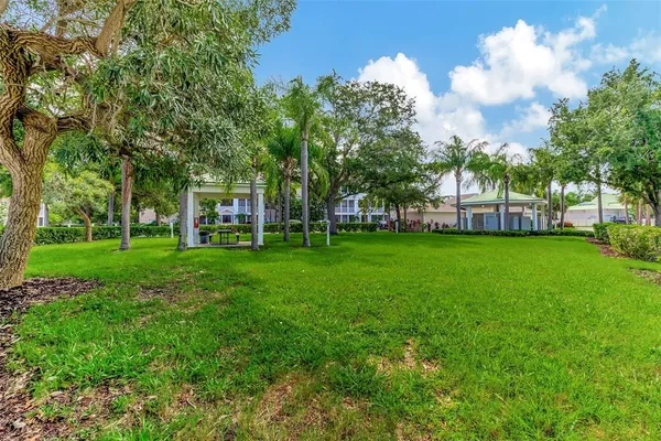 a view of a park with large trees