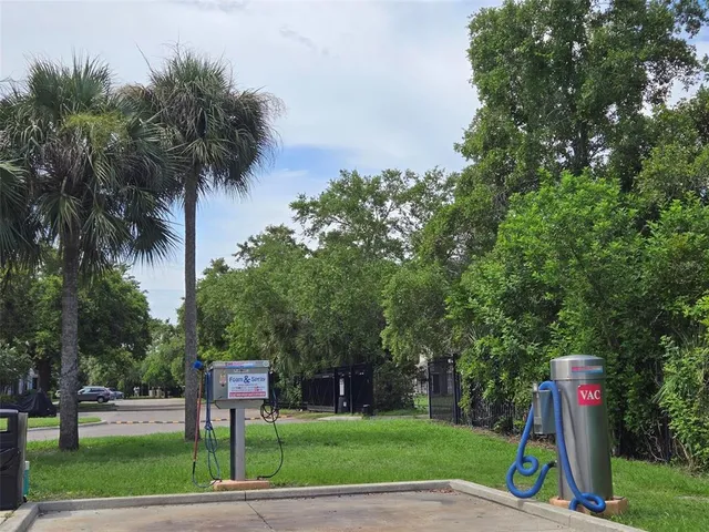 a view of a park with plants and palm trees