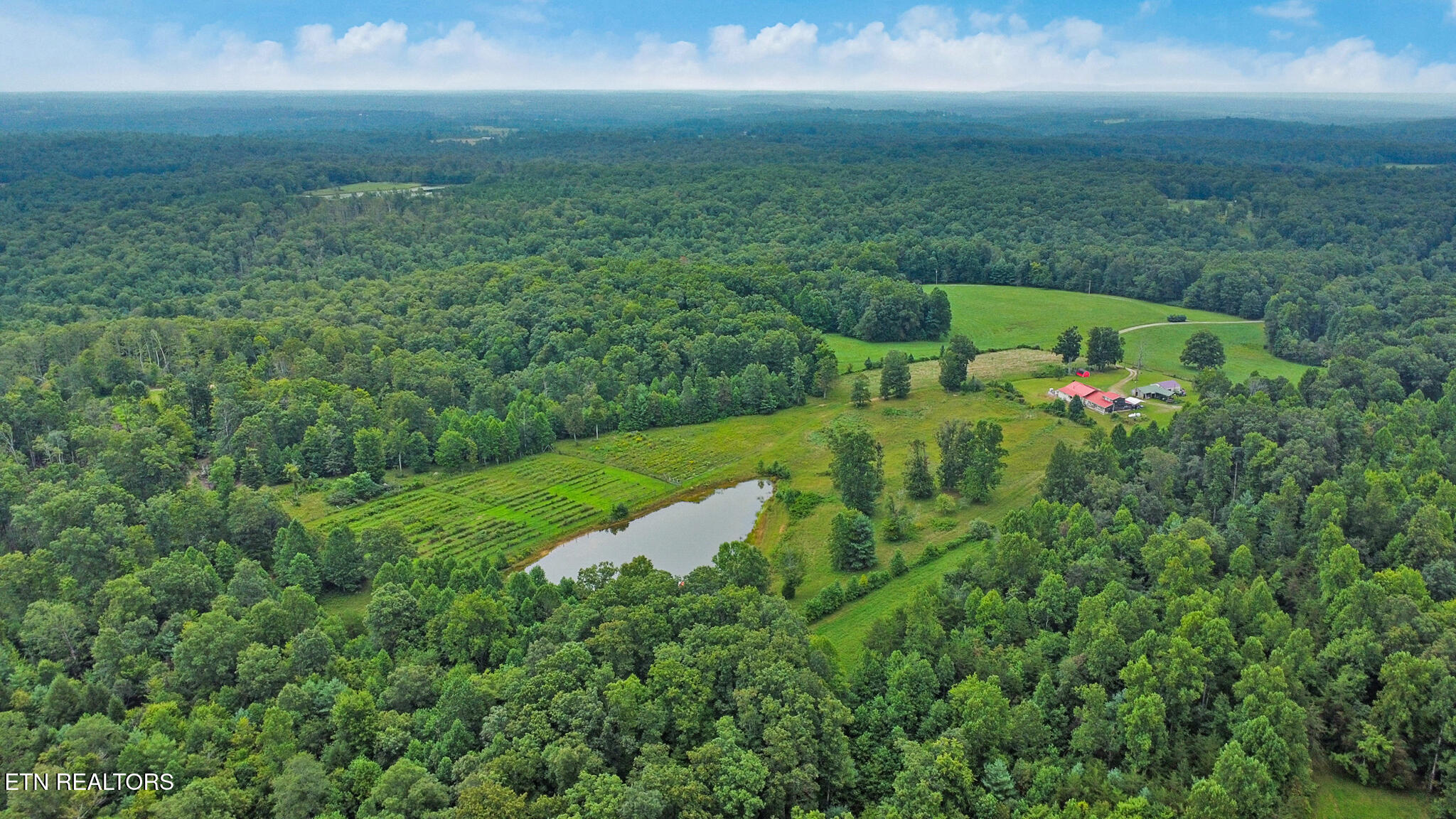252 Carlie Lane Deer Lodge, TN 37726 - Photo 46 of 50 dji_0233-dji_0235