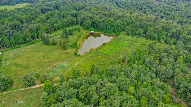 $475,000 | 252 Carlie Lane, Deer Lodge, TN 37726