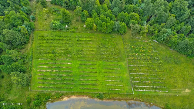 $475,000 | 252 Carlie Lane, Deer Lodge, TN 37726