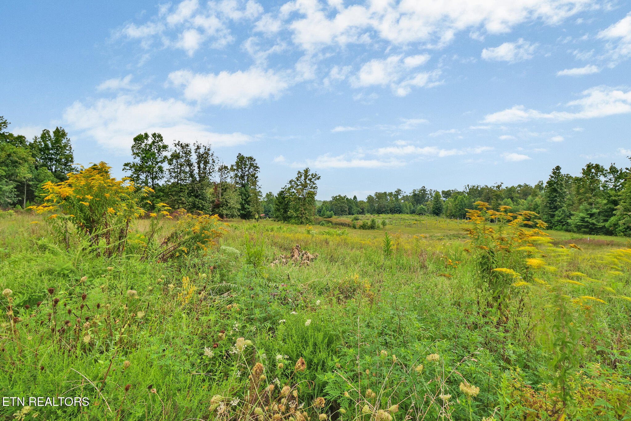 252 Carlie Lane Deer Lodge, TN 37726 - Photo 48 of 50 if1a2888-if1a2892