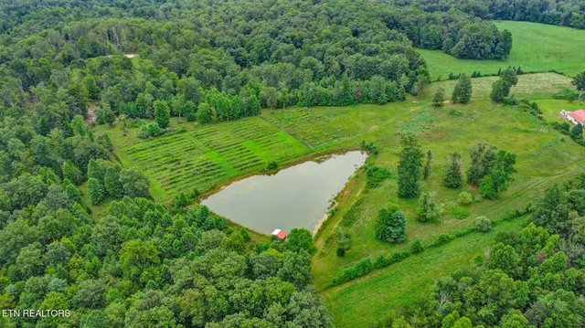 $475,000 | 252 Carlie Lane, Deer Lodge, TN 37726