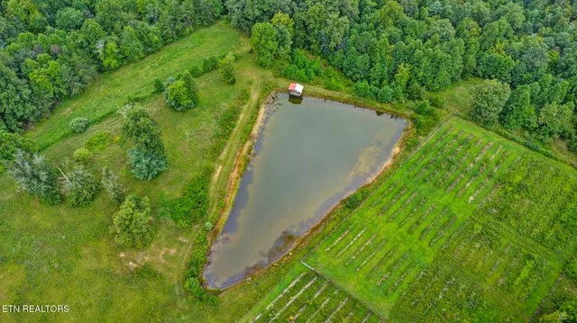 $475,000 | 252 Carlie Lane, Deer Lodge, TN 37726