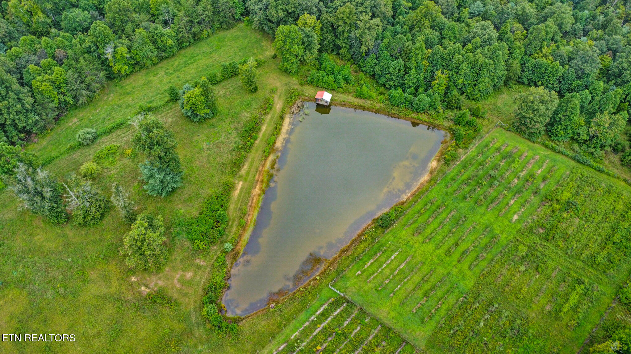 252 Carlie Lane Deer Lodge, TN 37726 - Photo 5 of 50 dji_0224-dji_0226