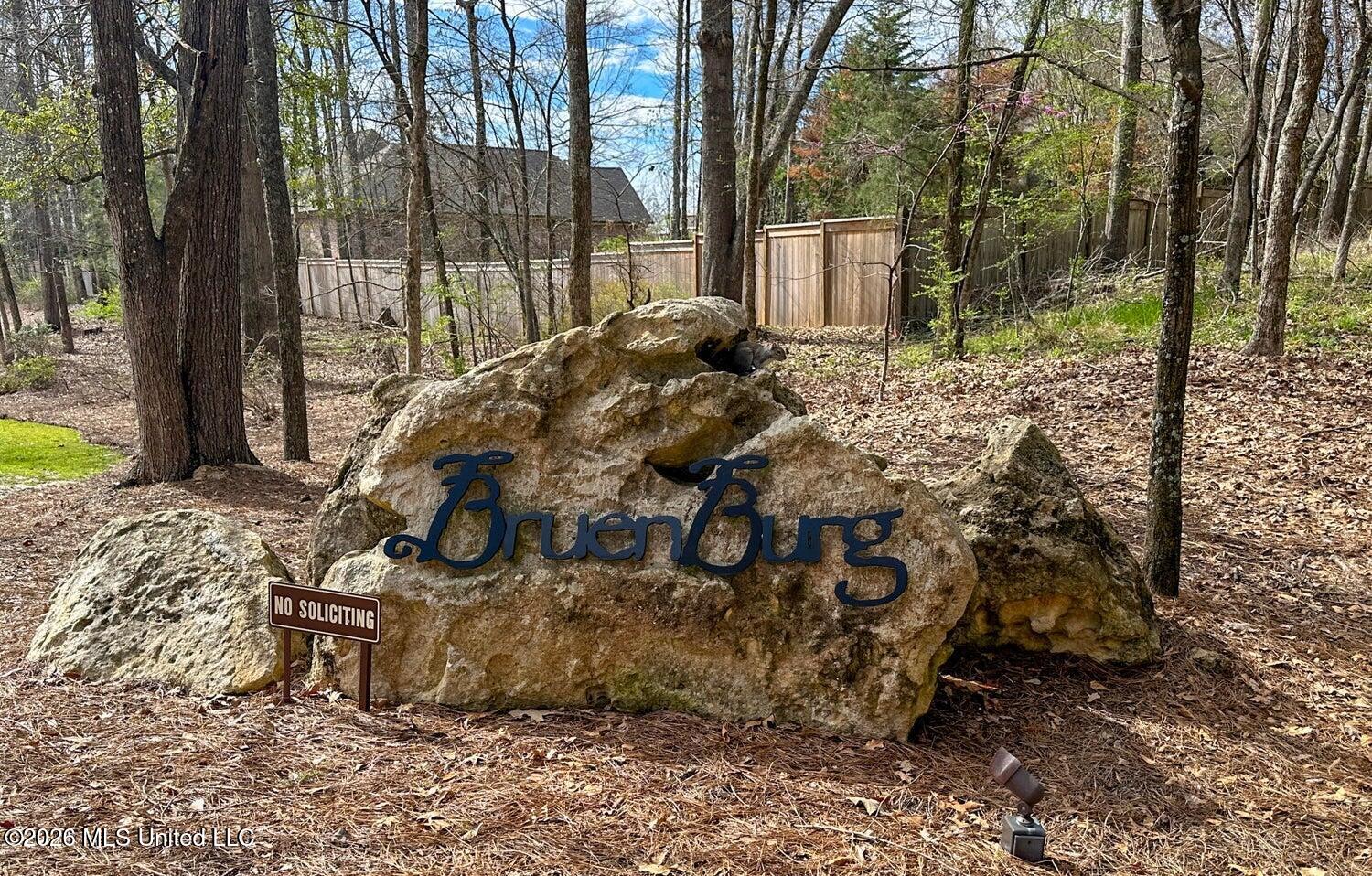 137 Baileys Ridge Circle Clinton, MS 39056 - Photo 34 of 38 01 - Bruenburg Rock