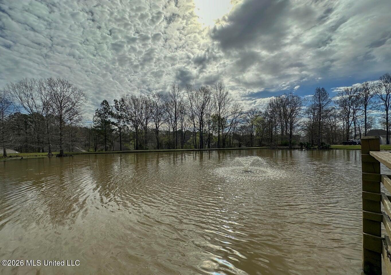137 Baileys Ridge Circle Clinton, MS 39056 - Photo 35 of 38 02 - Bruenburg Lake