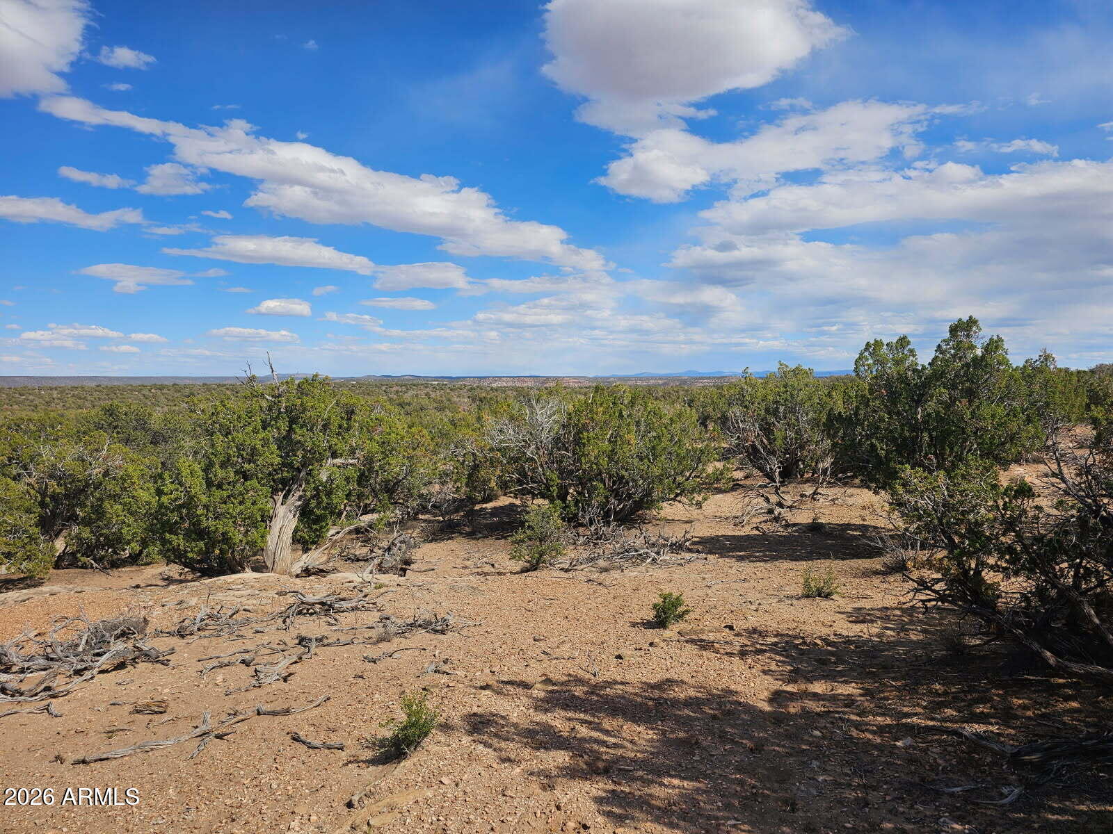 3945 Valley Road, Unit 749 Snowflake, AZ 85937 - Photo 5 of 9 a view of a dry yard with wooden fence