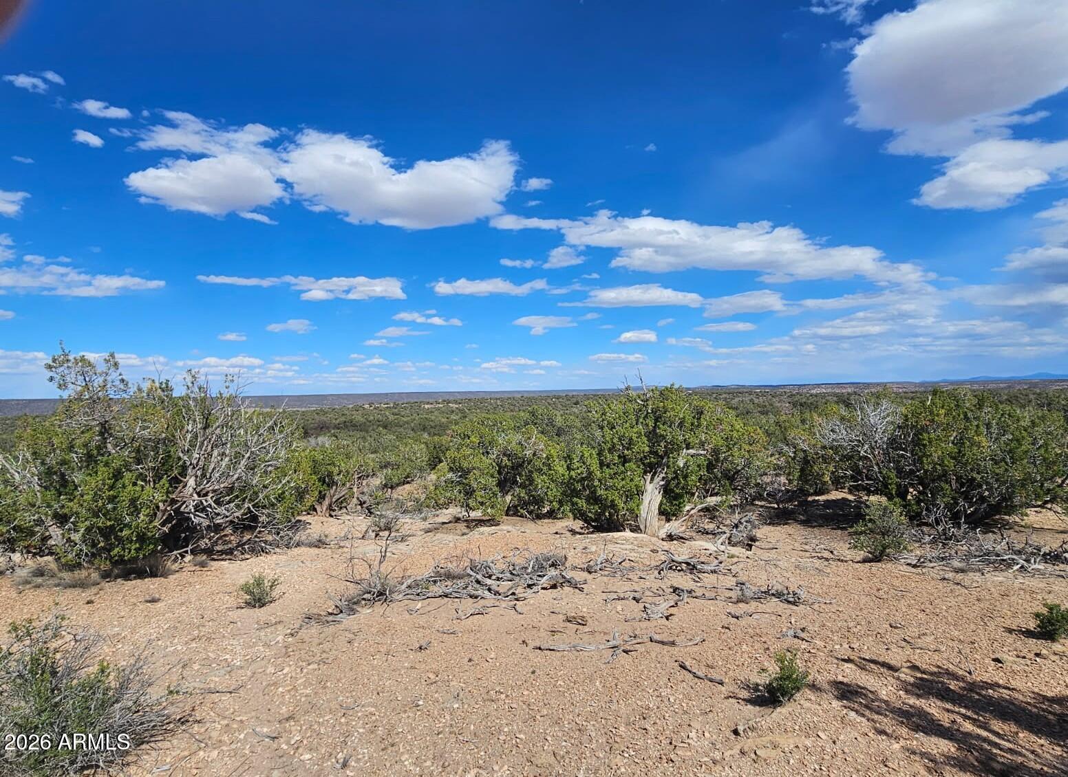 3945 Valley Road, Unit 749 Snowflake, AZ 85937 - Photo 7 of 9 a view of a yard with a tree