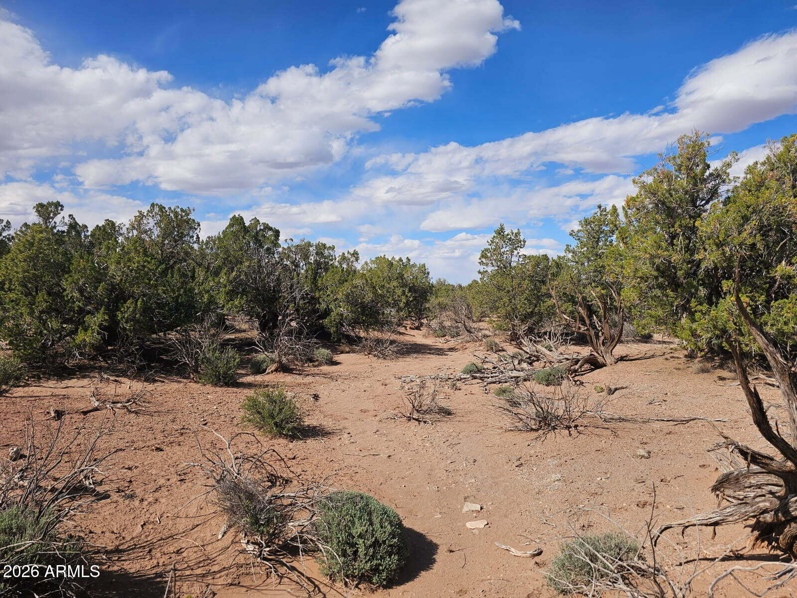 3945 Valley Road, Unit 749 Snowflake, AZ 85937 - Photo 8 of 9 a view of a dirt road with trees in the background