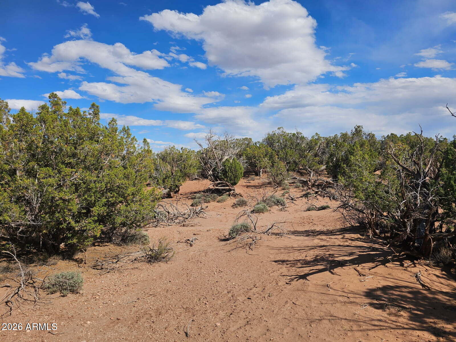 3945 Valley Road, Unit 749 Snowflake, AZ 85937 - Photo 9 of 9 a view of a dry yard with lots of bushes