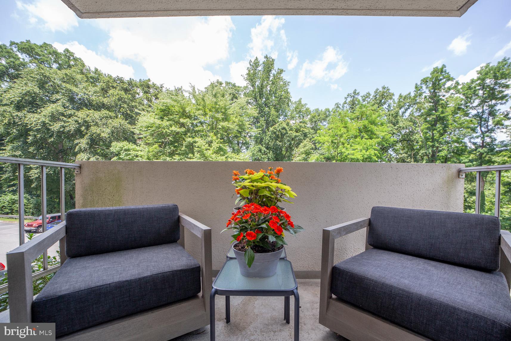 2939 Van Ness Street Northwest, Unit 224 Washington, DC 20008 - Photo 6 of 43 Imagine having coffee and reading the paper