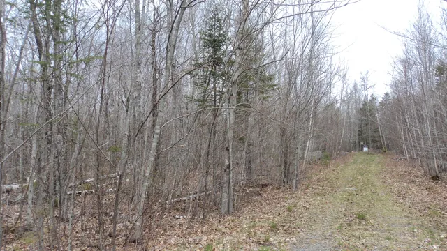 $99,000 | 0 Green Lake Road, Dedham, ME 04429