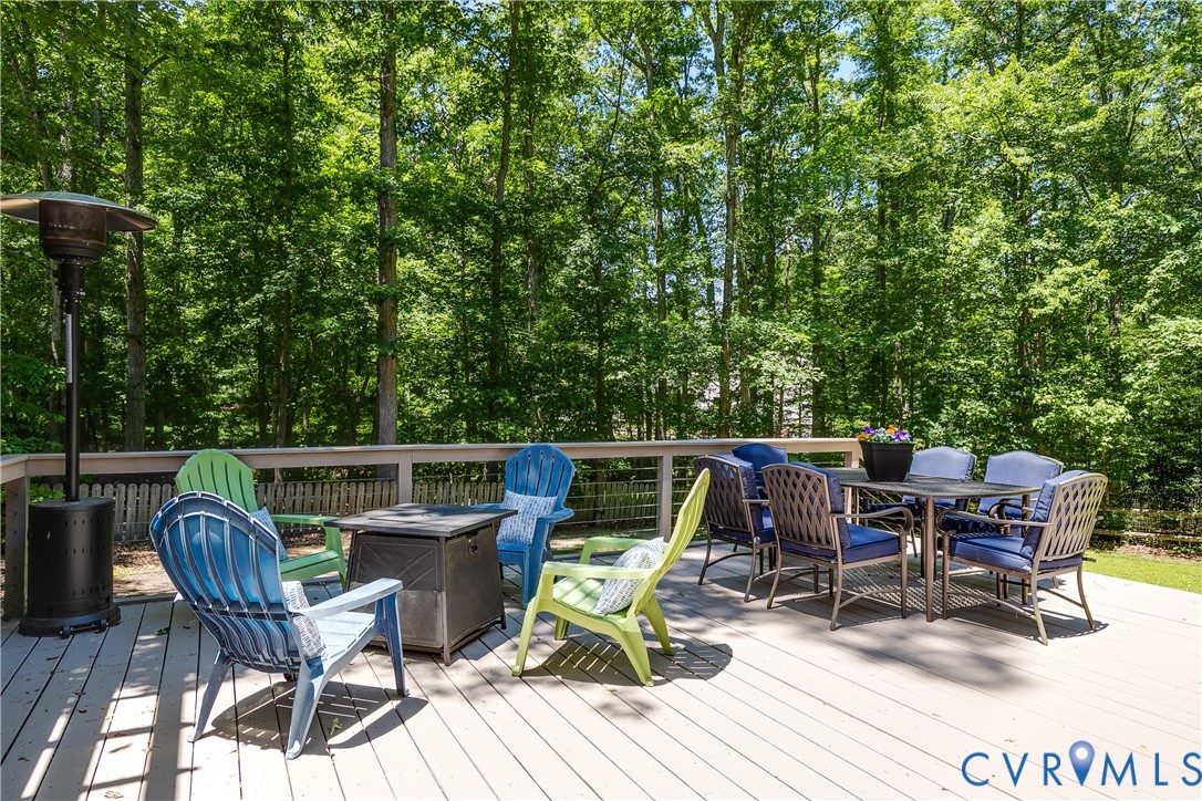 1107 Royal Ridge Road Midlothian, VA 23114 - Photo 43 of 47