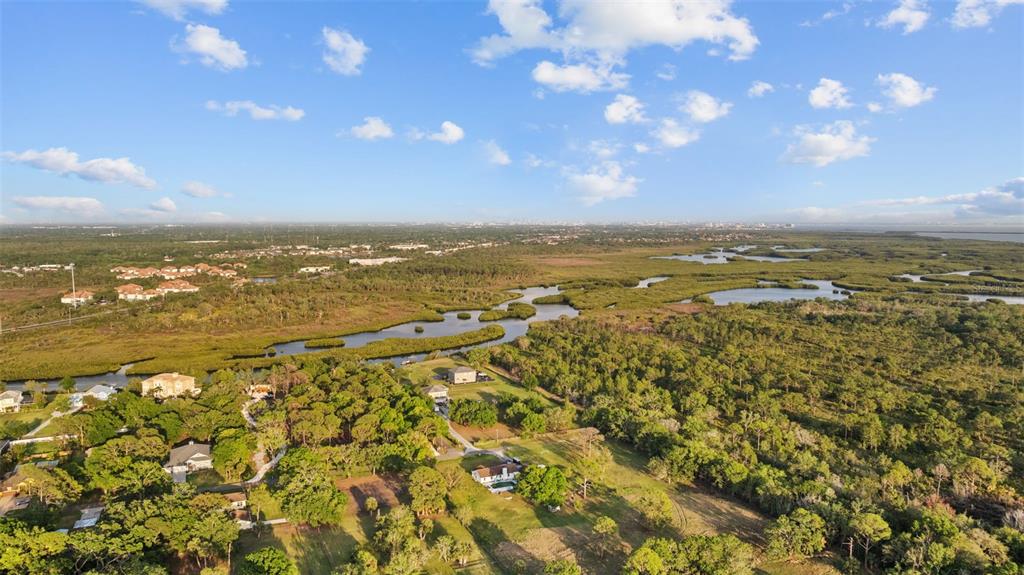 8303 Double Branch Road Tampa, FL 33635 - Photo 91 of 93 Gallery Image 91